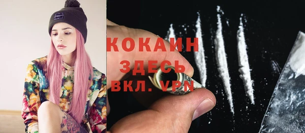 ГАЛЛЮЦИНОГЕННЫЕ ГРИБЫ Гусев