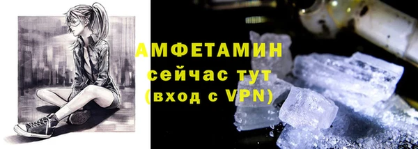 ГАЛЛЮЦИНОГЕННЫЕ ГРИБЫ Гусев