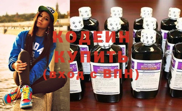 ГАЛЛЮЦИНОГЕННЫЕ ГРИБЫ Гусев