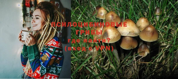 кристаллы Гусиноозёрск