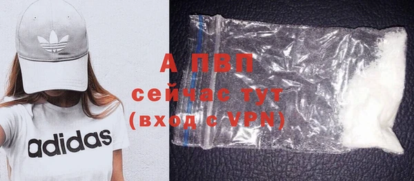 ГАЛЛЮЦИНОГЕННЫЕ ГРИБЫ Гусев