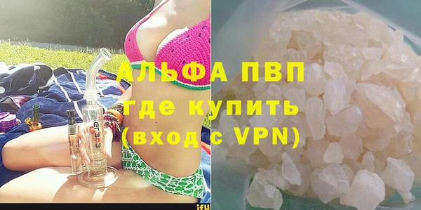 ГАЛЛЮЦИНОГЕННЫЕ ГРИБЫ Гусев