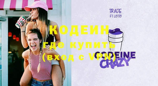 ГАЛЛЮЦИНОГЕННЫЕ ГРИБЫ Гусев