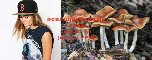 кристаллы Гусиноозёрск